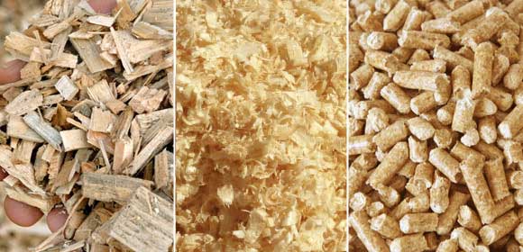 Use-Wood-Shavings-or-Sawdust