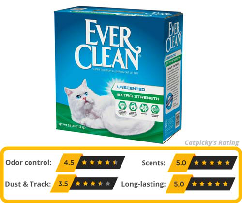 Ever Clean Extra Strength Cat Litter