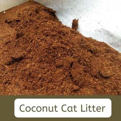 Coconut cat litter