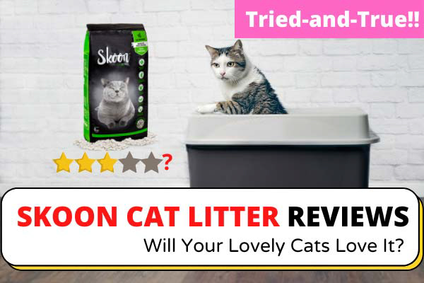 Skoon cat litter reviews