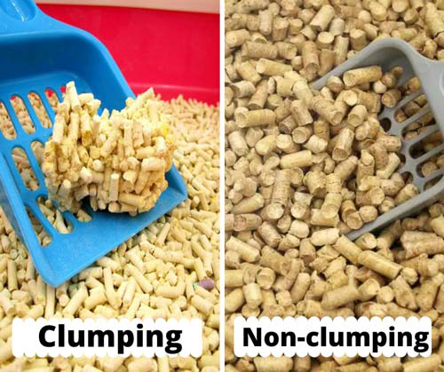 Clumping-or-Non-Clumping