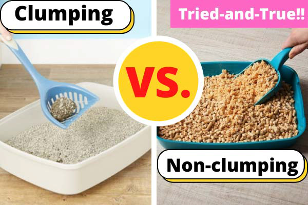 Clumping vs Non-Clumping Cat Litter