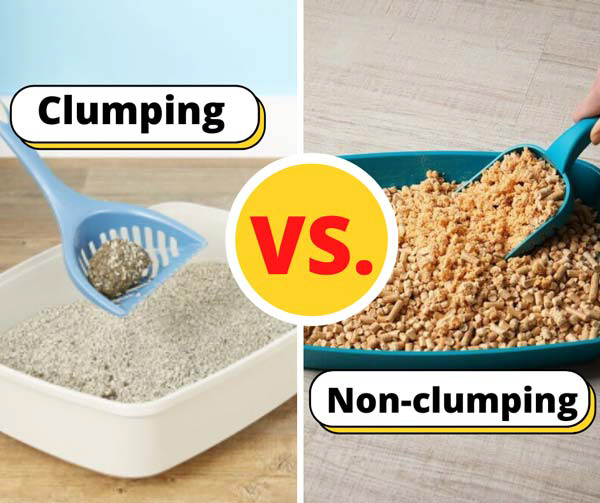 Clumping vs. Non-Clumping