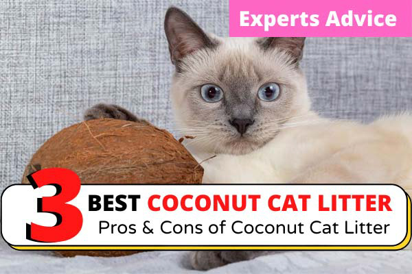 Coconut cat litter