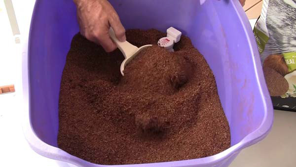 How to use coconut cat litter