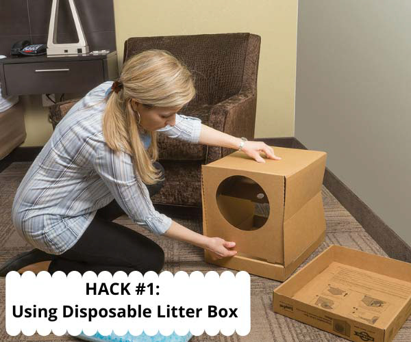 Use Disposable Litter Box