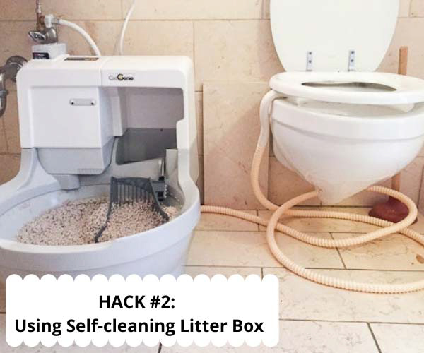Use Self-cleaning Litter Boxes