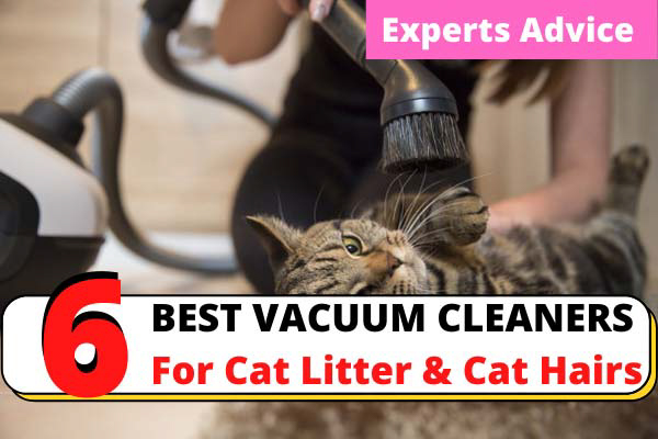 Best Vaccum For Cat Litter