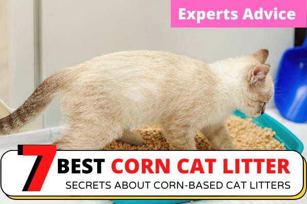 Corn Cat Litter