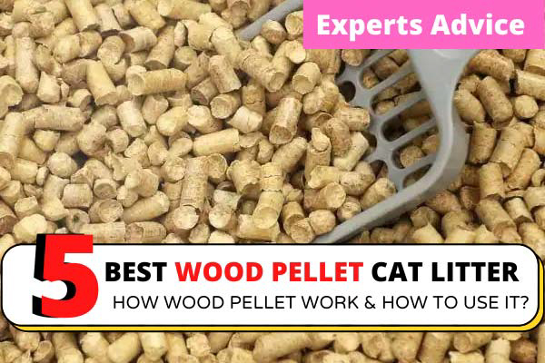 Wood Pellet Cat Litter