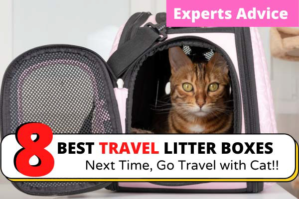 Best Travel Litter Boxes