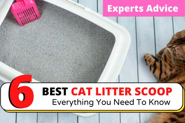 Best Cat Litter Scoop