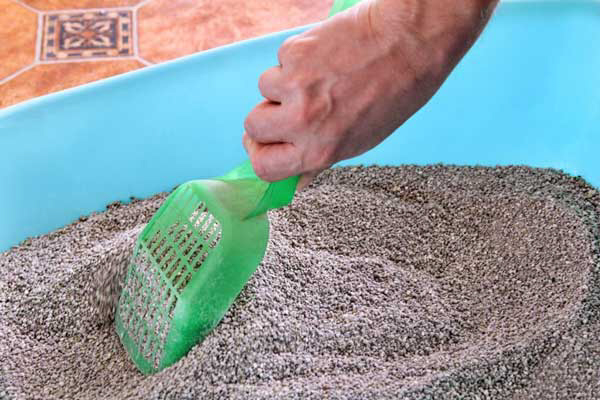 Choose your cat litter wisely