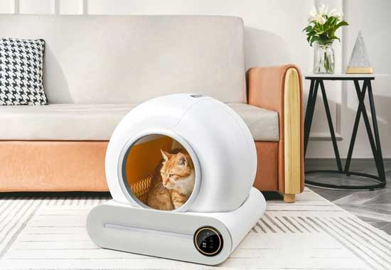 Self-cleaning litter boxes