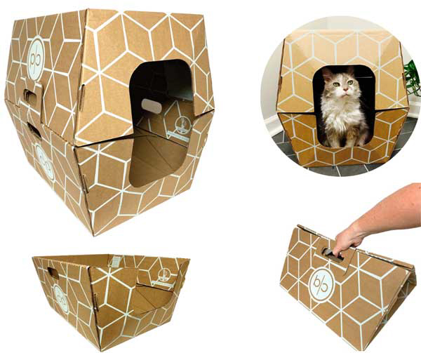Cats Desire Disposable Litter Boxes