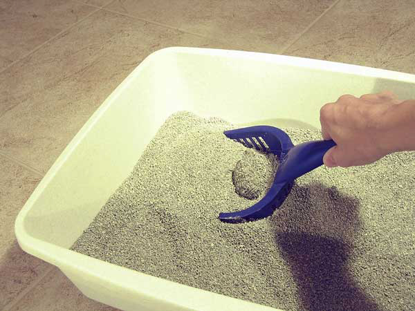 Clumping-clay-litter