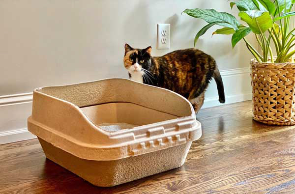 How long do disposable litter boxes last