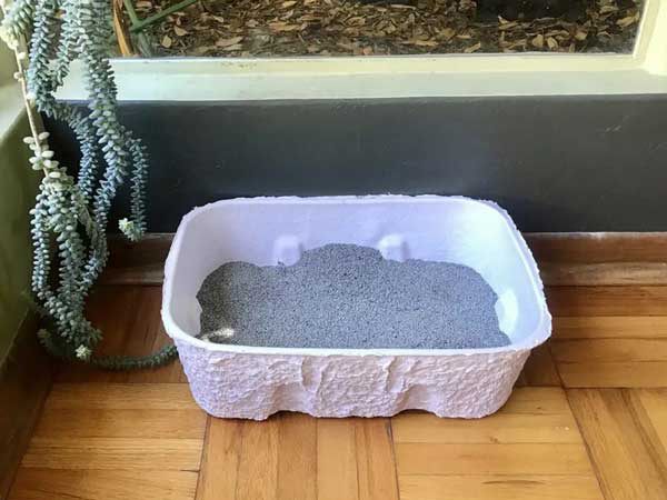disposable litter boxes made of